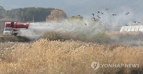 긴급 방역 [연합뉴스 자료 사진. 재판매 및 DB 금지]