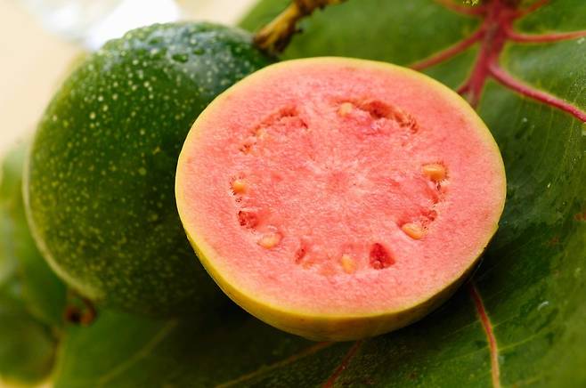 달콤하고 새콤한 맛을 가진 열대 과일인 구아바는 비타민C와 섬유질이 풍부하다. 모든 과일 중에서 가장 높은 단백질 함량을 자랑한다. [사진=클립아트코리아]