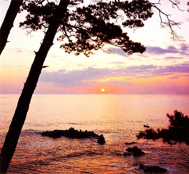 천연기념물&nbsp;‘울산 귀신고래 회유해면’.&nbsp;국가유산청&nbsp;