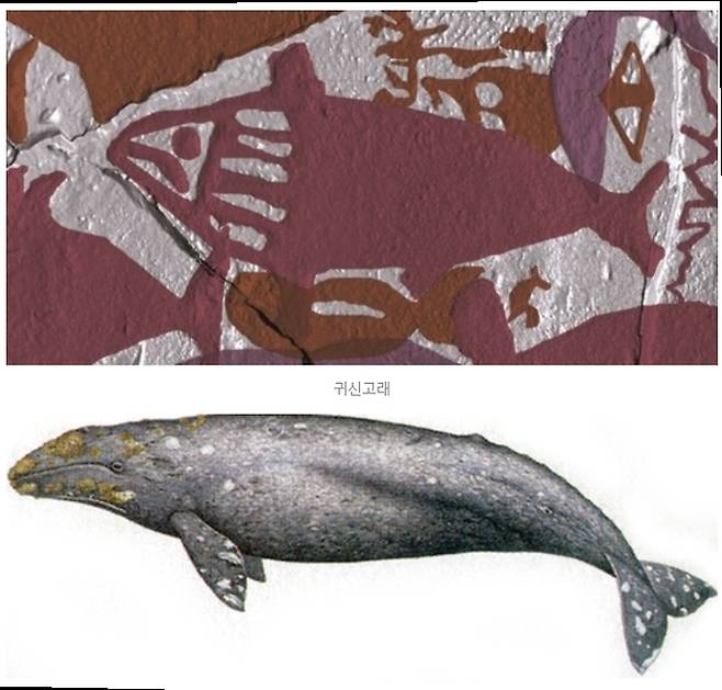 반구대 암각화 고래 그림과 귀신고래.