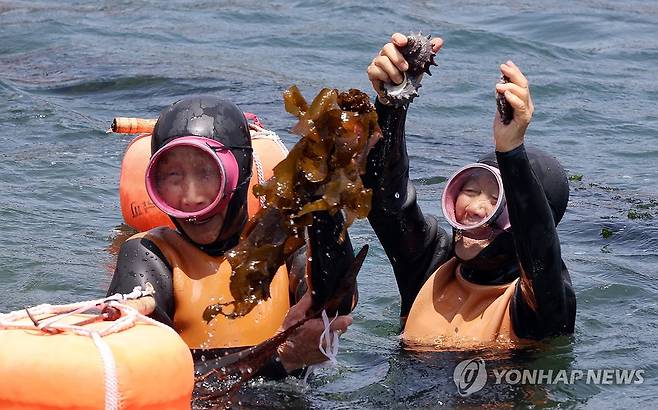 마지막 물질, 김유생·강두교 해녀 "전복·소라 여기요" (제주=연합뉴스) 김호천 기자 = 25일 오후 제주시 한림읍 귀덕2리 포구에서 92살 김유생(왼쪽) 해녀와 91살 강두교 해녀가 은퇴식에 앞서 마지막 물질을 하며 채취한 미역과 전복, 소리를 들어 보이고 있다. 2024.5.25 khc@yna.co.kr