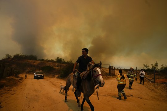 올해 2월 칠레 산불 당시 말을 타고 대피하는 시민 모습
뉴시스
