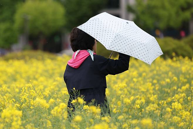 지난 7일 오후 서울 종로구 송현동공원에서 한 시민이 우산을 쓰고 이동하고 있다. /연합뉴스