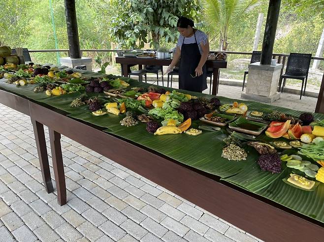 호텔 인근의 ‘세리디안 팜’에서 체험해볼 수 있는 ‘부들 파이트’. 바나나잎 위에 놓인 생선, 돼지고기, 치킨, 채소, 밥 등을 서서 맨손으로 먹는다. 이혜원 동아닷컴 기자 hyewon@donga.com
