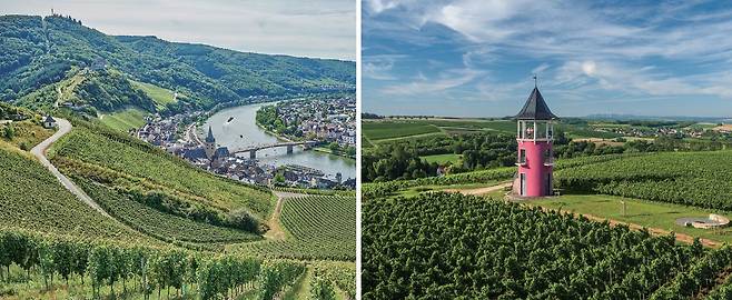 독일 모젤에서는 풍부한 일조량 확보를 위해 강변의 가파른 경사면에 포도밭을 일군다(왼쪽). 라인헤센의 와인 산지. 라인란트팔츠 관광청