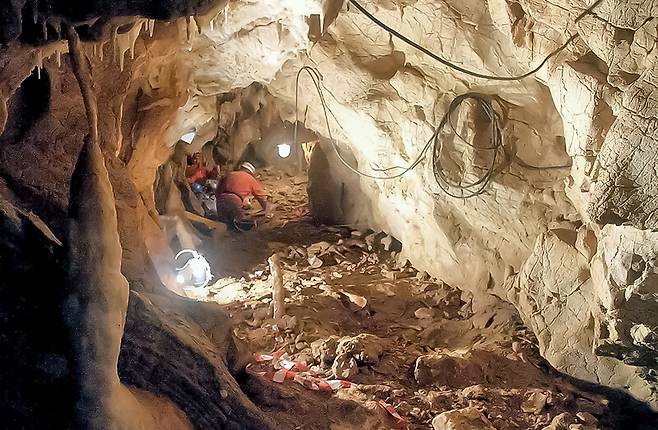 네안데르탈인 게놈을 가진 3만7천~4만2천년 전 네안데르탈인의 게놈을 보유한 현생 인류의 유골이 발굴된 루마니아의 페슈테라 쿠 오아세동굴. OASE PROJECT/사이언스