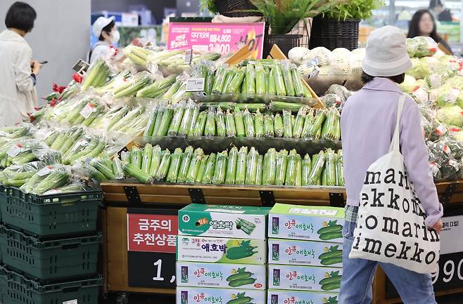 지난 2일 서울의 한 대형마트 식품 코너에서 장을 보는 시민의 모습. 연합뉴스