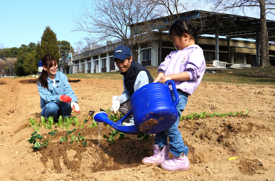 Suwon citizens Lee Chan-woo, his wife Shin Hyun-sun and their daughter plant and water crops at the Suwon Tap-dong Citizen's Farm during its opening weekend in mid-March. [KIM JU-YEON]