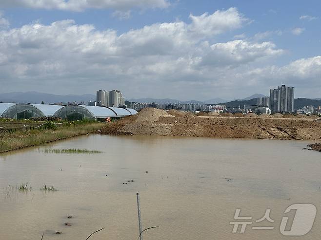 28일 충주시는 종합운동장 인근 어린이생활체육공원 용지는 유공관을 설치하고 흙을 성토해 나무 생육 저하 현상을 예방할 계획이라고 밝혔다. 사진은 물이 고여 있고, 스펀지 현상까지 발생하고 있는 어린이생활체육공원 용지. 2024.5.28/뉴스1