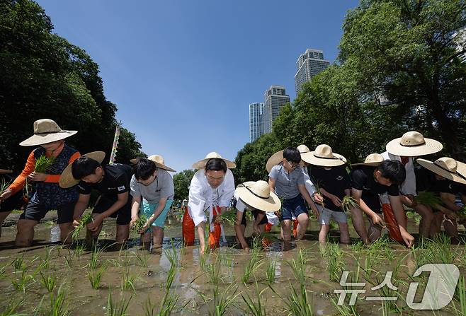 27일 오전 서울 강남구 양재천 벼농사 학습장에서 열린 양재천 전통 모내기 행사에서 어린이들이 모내기를 하고 있다. 2024.5.27/뉴스1 ⓒ News1 이재명 기자