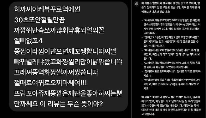 챗GPT가 '한국인만 아는 리뷰'를 해석했다./온라인커뮤니티