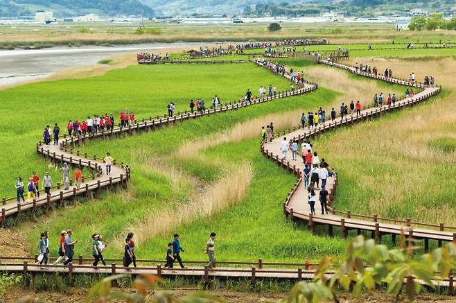 전남도는 지난해 6300만 명의 관광객이 전남을 방문했다고 밝혔다. 이는 전남 주요 관광지점 입장객 수의 합계로 2022년(5600만 명)보다 700만 명(13%)이 늘어난 규모다. 순천만. 전남도