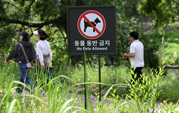 27일 서울 시내 청계천의 한 산책로에 동물 동반 금지를 알리는 팻말이 세워져 있다. 오장환 기자