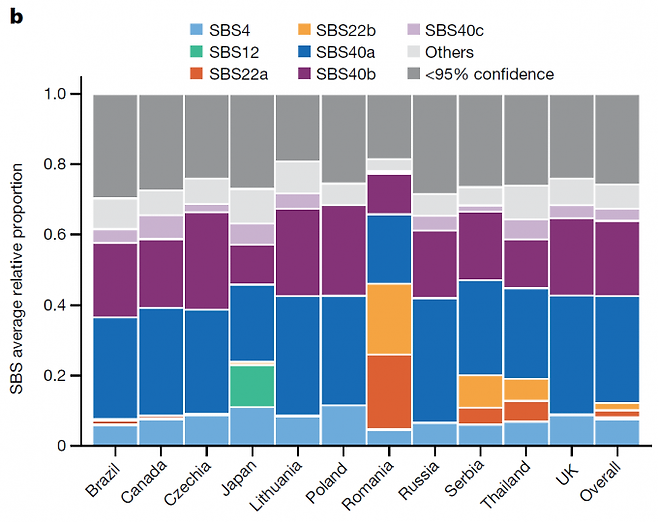 11개 나라 신장암 시료를 분석해 밝힌 변이(SBS) 시그너처 기여도를 보여주는 그래프다(맨 오른쪽은 전체 평균). 전반적으로 비슷한 패턴이지만 일본에서는 유독 SBS12(녹색)의 기여도가 높고 루마니아와 세르비아에서는 SBS22a(주황색)와 SBS22b(노란색)의 기여도가 높다. 뒤의 둘은 아리스톨로크산이 돌연변이원으로 밝혀졌지만, SBS12는 아직 변이 발생 원인을 모른다. 네이처 제공