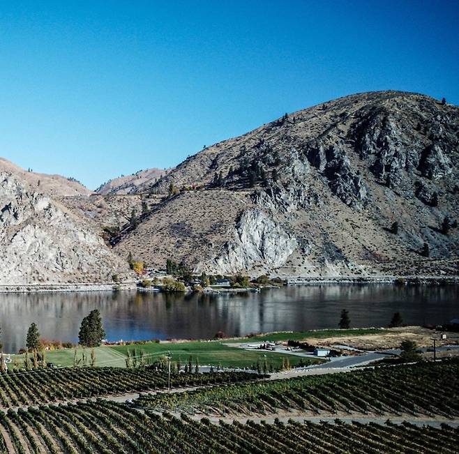 콜롬비아 밸리 포도밭.&nbsp; 워싱턴주와인협회