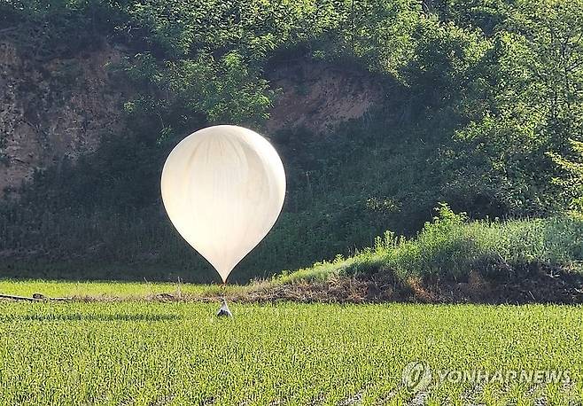 모내기 마친 논에서 발견된 대남전단 (철원=연합뉴스) 29일 오전 강원 철원군 철원읍 사요리의 논에서 북한이 보낸 것으로 추정되는 대남전단 풍선이 발견돼 있다. 2024.5.29 [독자 제공.재판매 및 DB 금지] yangdoo@yna.co.kr