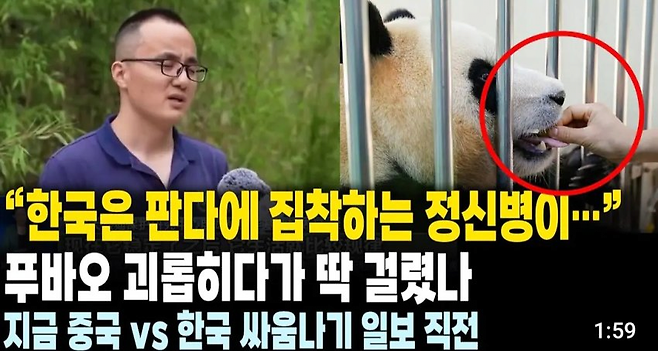 image.png 푸바푸바 푸바오 데리고 간 중국 근황..jpg