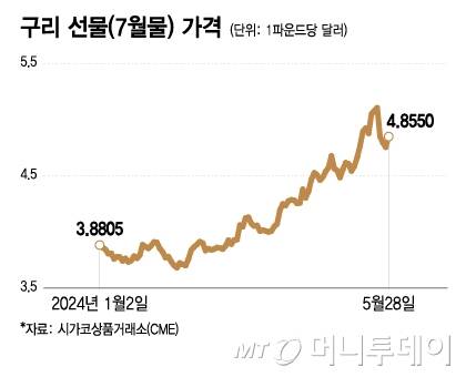 구리 선물(7월물) 가격/그래픽=이지혜