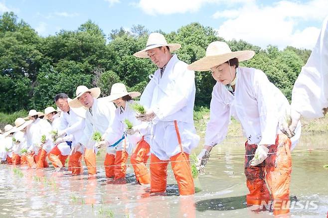 [여주=뉴시스] 여주시 흔암리에서 열린 모내기(여주시 제공)