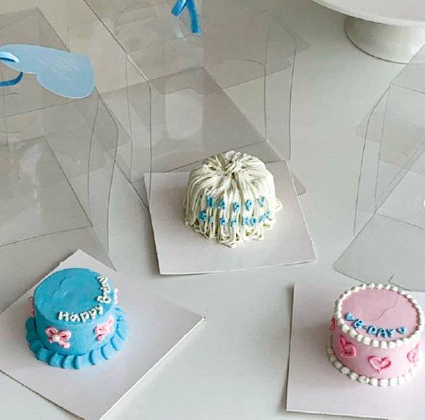 한입 크기의 ‘마이크로 케이크’. [인스타그램 @k_kung_s2 계정 캡처]