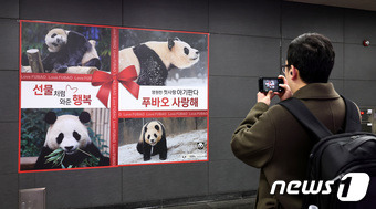 지난2월 서울 홍대입구역 공항철도 경의선 방향 통로에 푸바오 사진과 함께 "선물처럼 와준 행복, 영원한 첫사랑 아기판다 푸바오 사랑해＂라는 문구가 적혀 있다. 뉴스1 DB