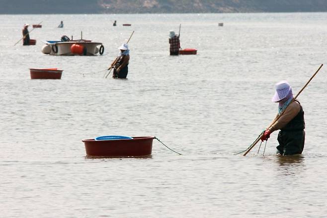 손틀어업으로 재첩을 채취하는 어민들. 한국관광공사 제공