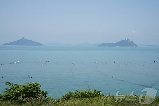 손가락섬(왼쪽)과 발가락섬.  2024.5.31./뉴스1 ⓒ News1 조영석 기자