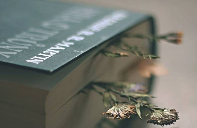 ▲모건 하우절은 책에 새로운 내용이 없다는 걸 부끄러워할 필요가 없다고 했다.