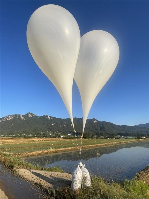 29일 경남 거창군 위천면 상천리 한 논에 북한이 남쪽을 향해 날려 보낸 것으로 보이는 대남 전단 살포용 추정 풍선이 보이고 있다. / 사진=뉴스1