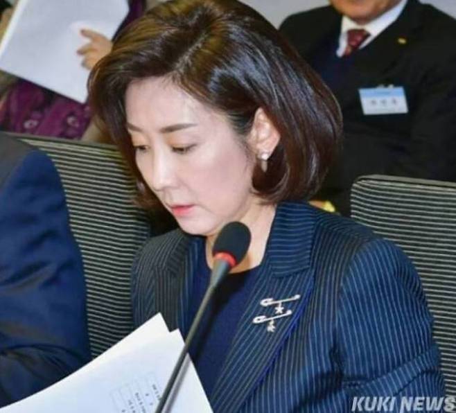 나경원 국민의힘 국회의원. 쿠키뉴스 자료사진