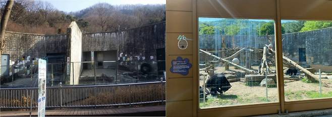 곰사육장의 예전 모습(왼쪽)과 개선한 현재 모습(오른쪽). 사육곰을 구조해 바꿔나간 게, 청주동물원 동물 복지가 높아지는 시작이었다./사진=남형도 기자, 청주동물원