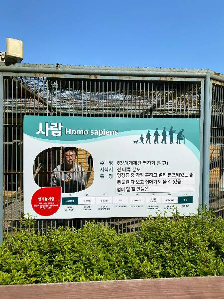 수명 83년 중 절반 정도 산 인간 기자 동물. 원래 스라소니가 살던 곳인데, 체험해보라고 이리 만들어두었단다. 기억해야 할 것. 인간도 동물이다. 그걸 깨달아야 공존한다./사진=엄마 말 잘 안 들은 건 팩트였던 남형도 기자