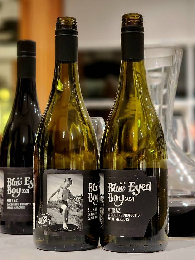 몰리두커 블루 아이드 보이 쉬라즈. 최현태 기자