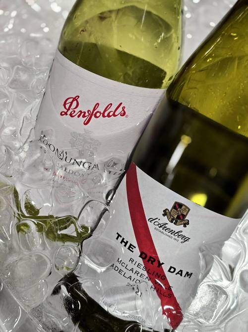 펜폴즈 샤르도네와 다렌버그 리슬링. 최현태 기자