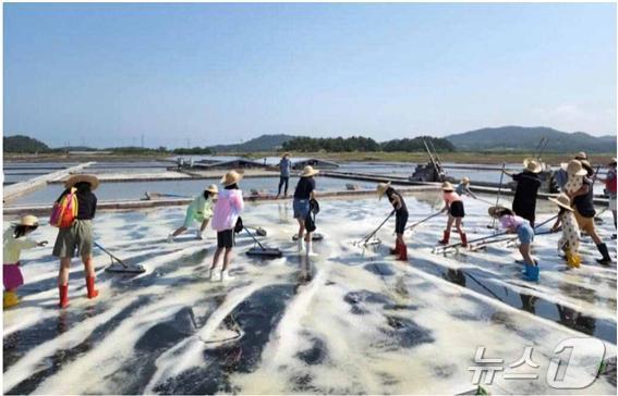 신안 증도 소금밭 체험(해양수산부 제공)