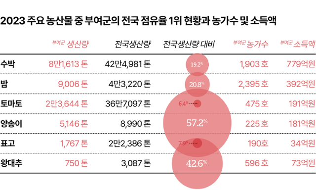 수박과 밤 등 국내에서 생산되는 주요 농산물 중 전국생산량 대비 부여군의 전국 점유율 1위 품목 현황