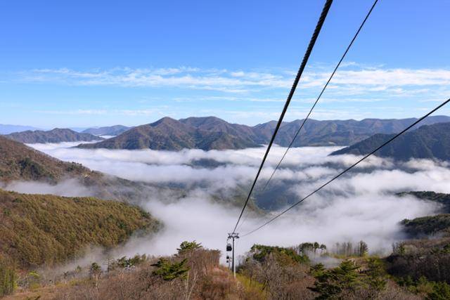 강원 정선군 가리왕산 케이블카 탑승객이 개장 1년 5개월 만에 25만 명을 넘어섰다. 해발 1,381m 케이블카 상부정류장 인근에 펼쳐진 풍경. 정선군 제공
