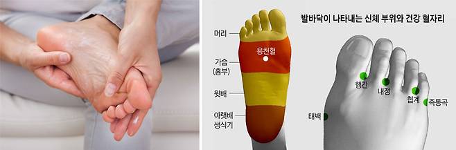 발 마사지를 하면 순환이 잘 돼 통증 완화, 신체 기운 회복의 효과를 누릴 수 있다./클립아트코리아, 조선일보 DB