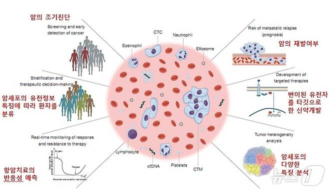 액체생검(혈중암세포) 기반 유전자 검사기술의 적용 범위. (인제대 제공)/뉴스1