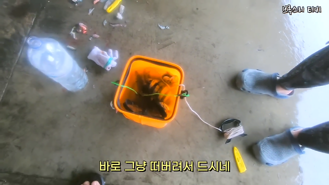 4.png 낚시터에서 회 얻어먹다가 죽을뻔한 유튜버 ㄷㄷㄷ.jpg