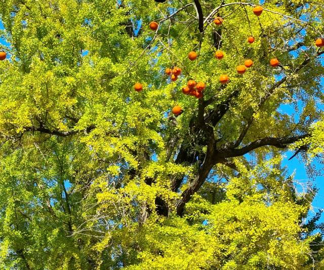 기사 내용과 무관한 사진. 사진=뉴스1