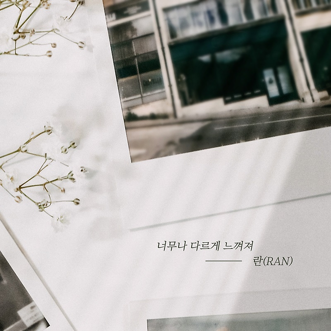 요구르트 스튜디오