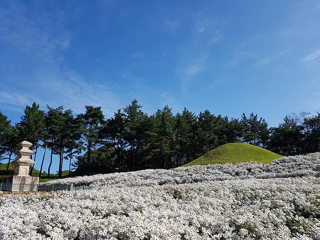 보물 '경주 서악동 삼층석탑' 주변  [신라문화원 제공. 재판매 및 DB 금지]
