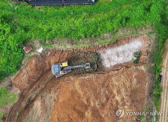 과수화상병에 파헤쳐진 과수원 [연합뉴스 자료사진]