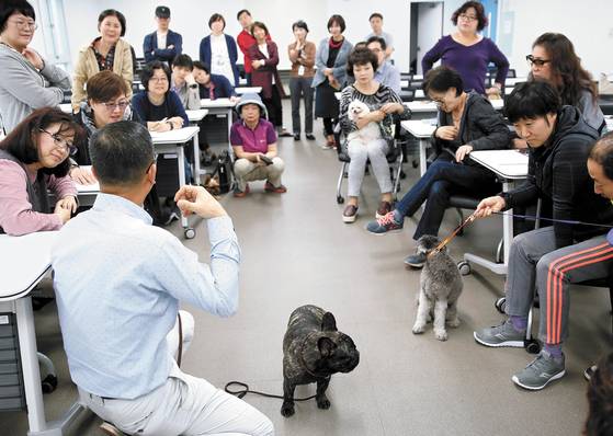 A pet expert educates middle-aged students in a pet sitter training program. [SEOUL METROPOLITAN GOVERNMENT]