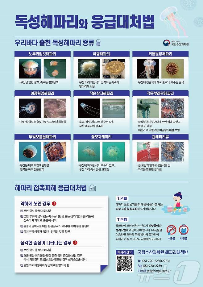 독성해파리 응급대처법 리플릿.(전남도 제공) 2024.6.7/뉴스1