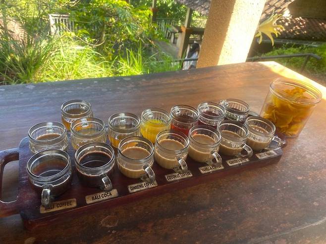 발리 곳곳에서 운영 중인 커피 농장의 샘플 커피와 차.