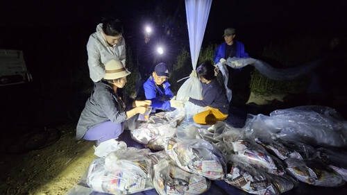 탈북민 단체 관계자들이 대북 전단을 날리고 있다. 겨레얼통일연대 제공