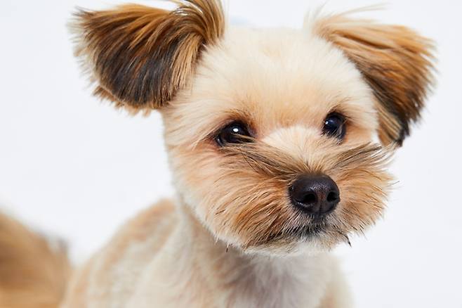 사진=게티이미지뱅크