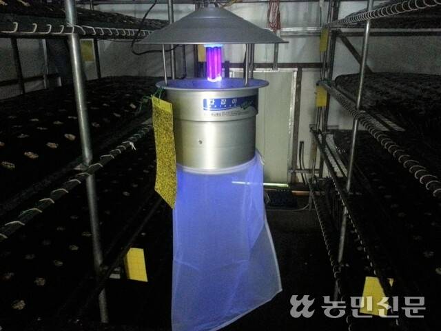 버섯파리 유인 장치